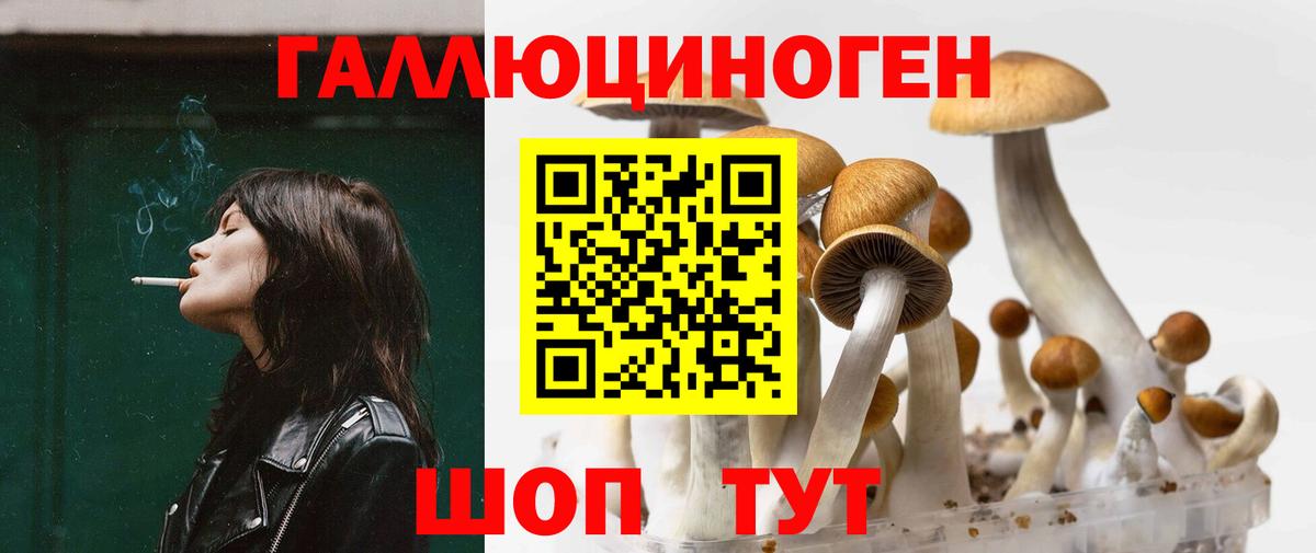 закладки  Псилоцибиновые грибы Psilocybine cubensis  Вход с VPN  Скопин 